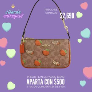 Bolso Coach Café con Textura
